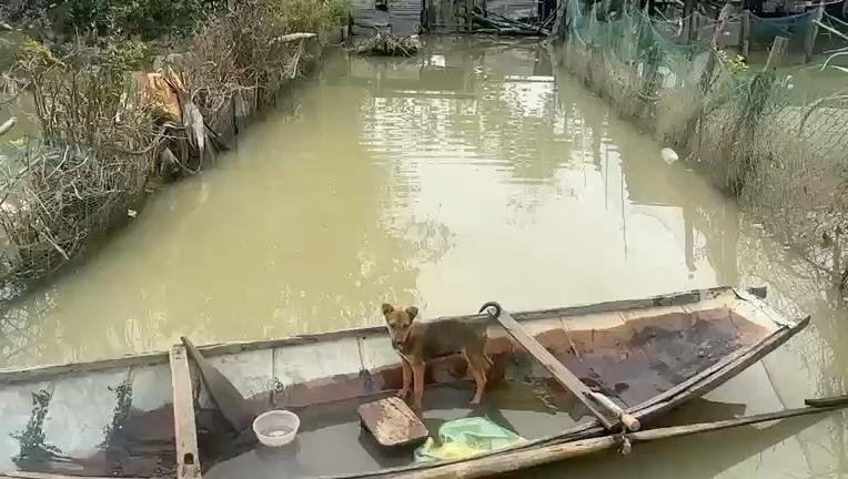 072D6U3woc6__0uDIoKWc21xw