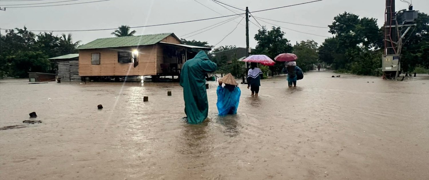 Image 12-9-25 at 12.18 PM-1