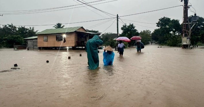 Image 12-9-25 at 12.18 PM-1